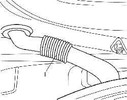 Расположение защитного гофрированного чехла (1), закрывающего провода, соединяющие кузов и заднюю дверь на автомобилях Peugeot 307 SW