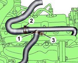 Расположение хомутов (1 и 2) и болта (3) крепления левой секции трубы системы охлаждения дизельного двигателя 2,5 л