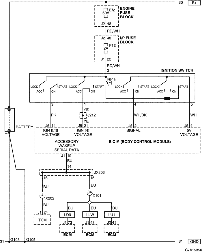 C7A15350.png